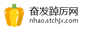 奋发踔厉网